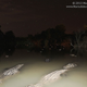 Illustration for article titled DSLR Stolen By An Alligator Was Rescued After Eight Months